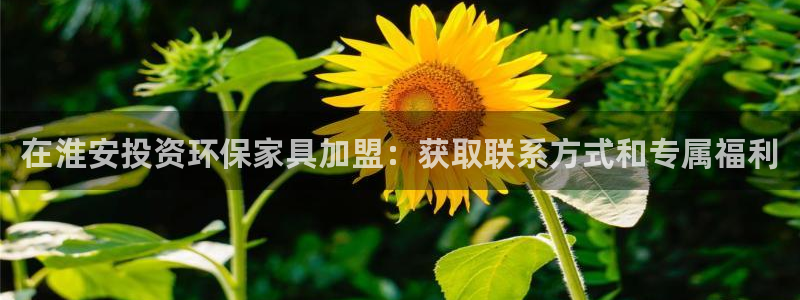 杏耀平台待遇：在淮安投资环保家具加盟：获取联系方式和专属福利