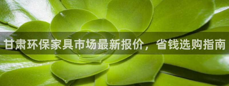 杏耀平台登陆地址：甘肃环保家具市场最新报价，省钱选购指南