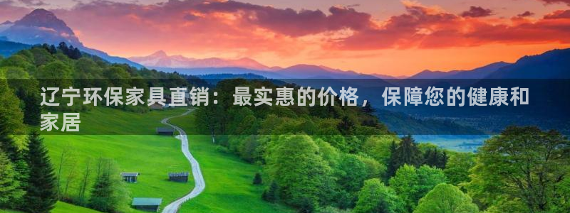 杏耀平台还在吗：辽宁环保家具直销：最实惠的价格，保障您的健康