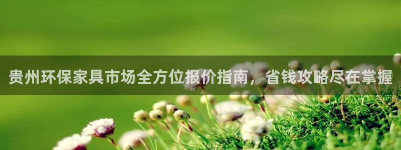 杏耀管网登录：贵州环保家具市场全方位报价指南，省钱攻略尽在掌