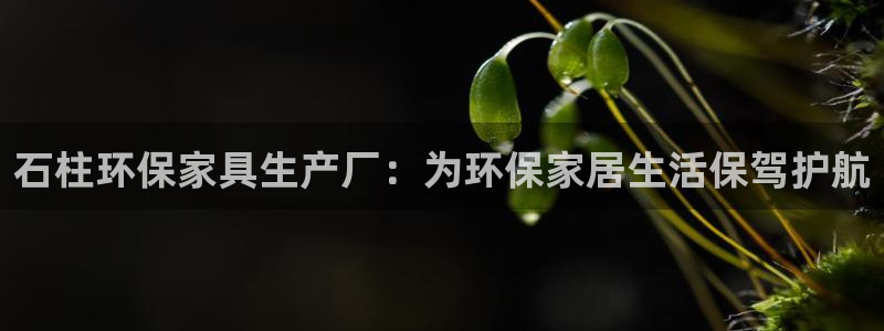 杏耀平台开户：石柱环保家具生产厂：为环保家居生活保驾护航