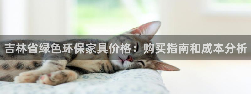 杏耀app怎样申请：吉林省绿色环保家具价格：购买指南和成本分