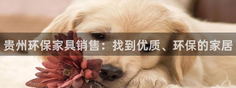 杏耀平台登录方式：贵州环保家具销售：找到优质、环保的家居