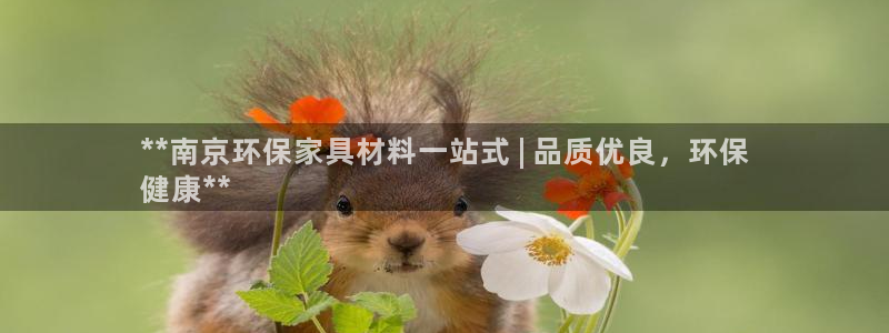 杏耀登入官网：**南京环保家具材料一站式 | 品质优良，环保