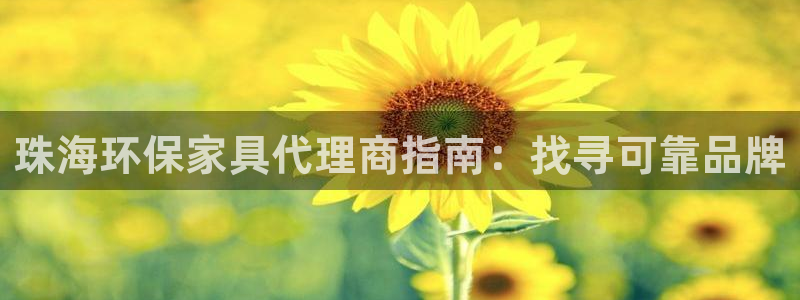 杏耀注册线路：珠海环保家具代理商指南：找寻可靠品牌
