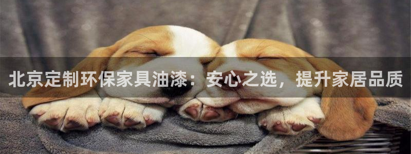 杏耀平台登录网址：北京定制环保家具油漆：安心之选，提升家居品