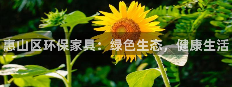 杏耀客户端登录：惠山区环保家具：绿色生态，健康生活