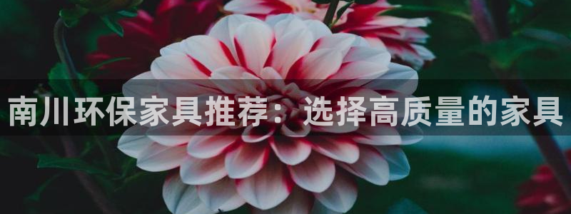 杏耀官方网