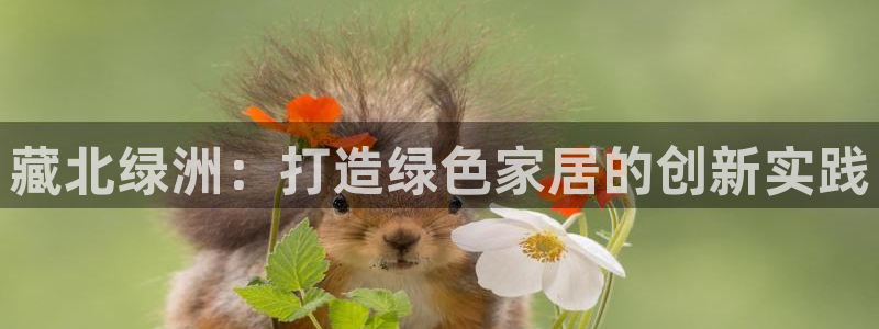 杏耀app怎样申请