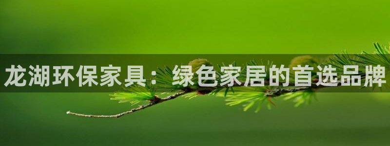 杏耀代理主管qq