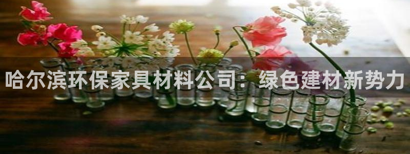 杏耀平台黑款：哈尔滨环保家具材料公司：绿色建材新势力