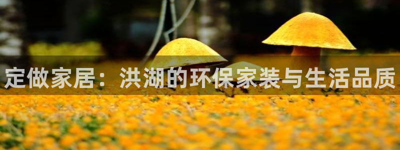 杏耀平台开户：定做家居：洪湖的环保家装与生活品质