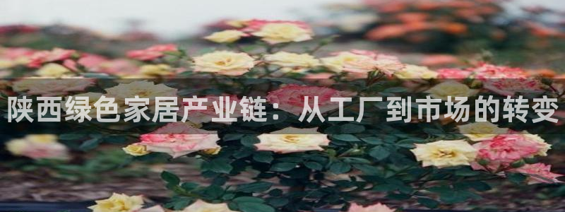 杏耀平台黑款：陕西绿色家居产业链：从工厂到市场的转变