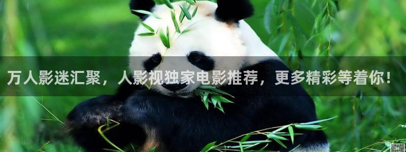天龙旗舰