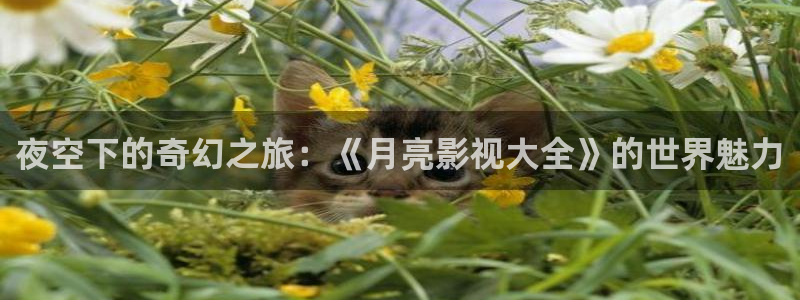 天龙影院远古首页免费