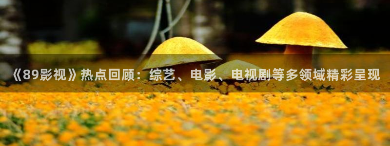 天龙官网首页