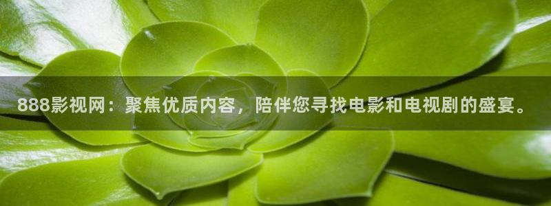 denon 天龙
