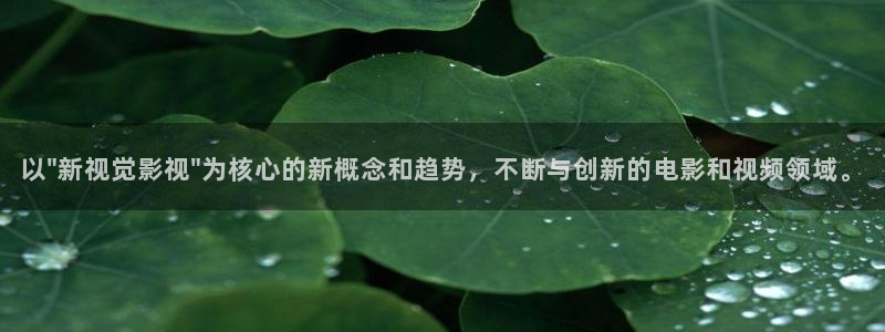 天龙影视大全