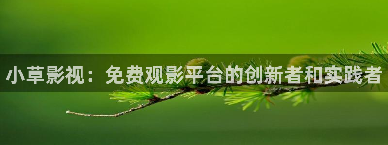 天龙影院手机